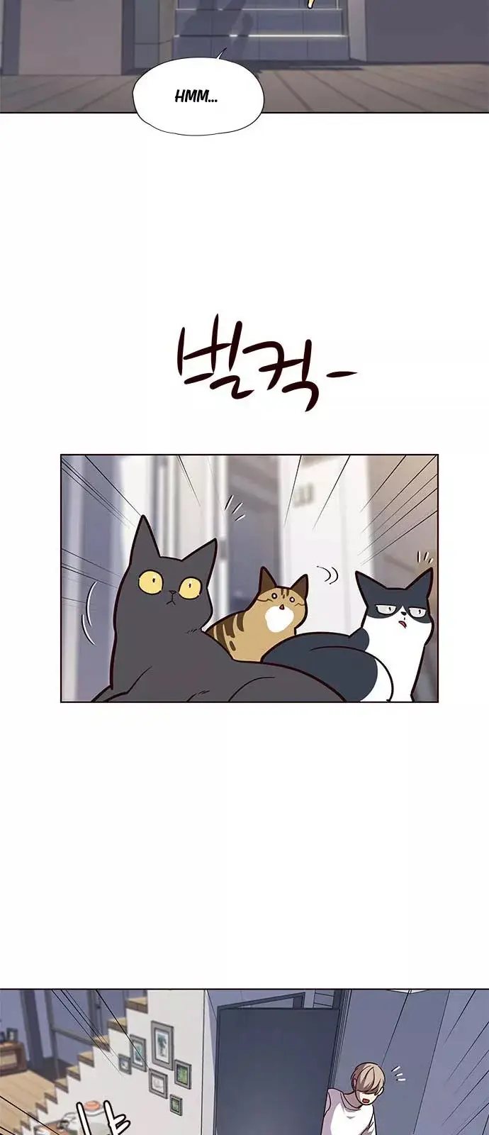 image-komik-eleceed-chapter-55-8/58