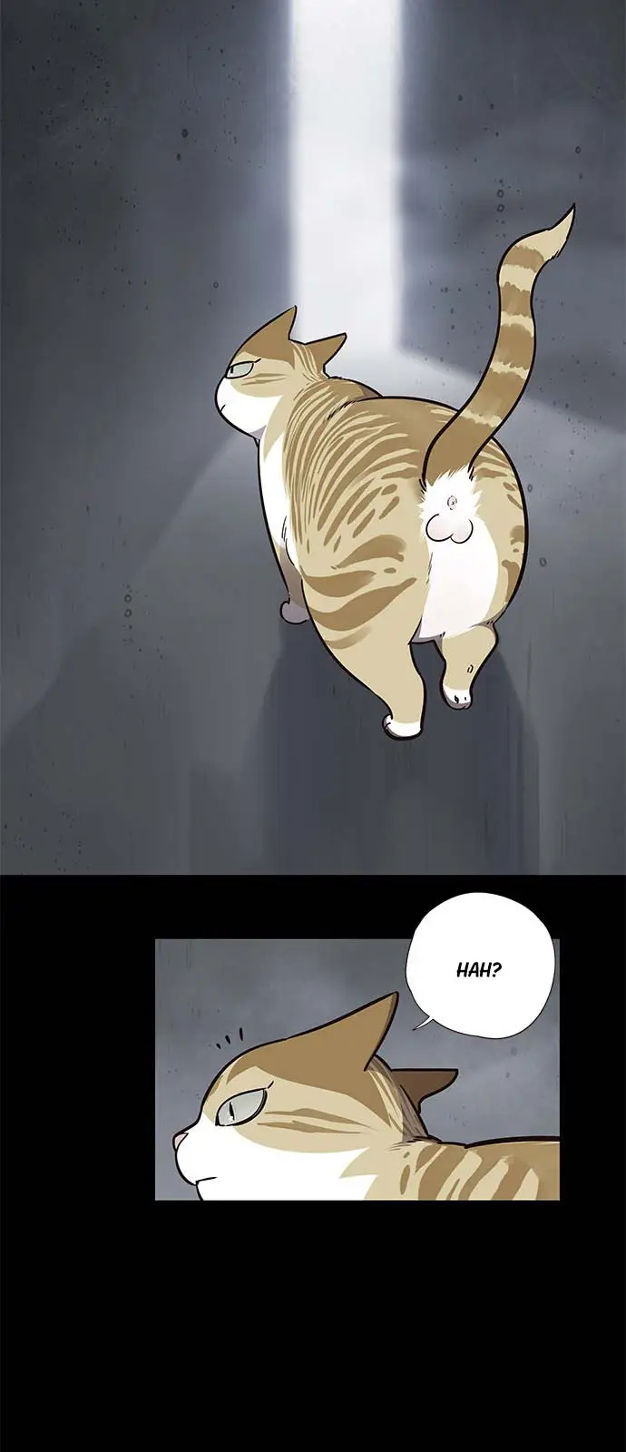 image-komik-eleceed-chapter-56-2/57