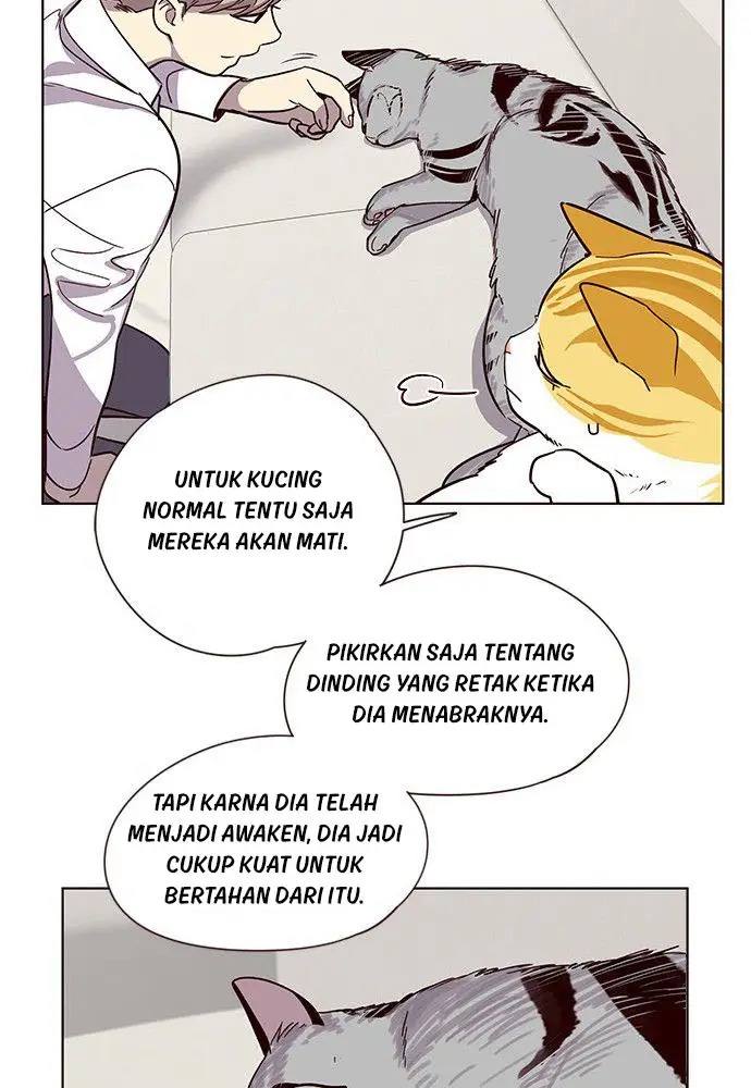image-komik-eleceed-chapter-6-7/84