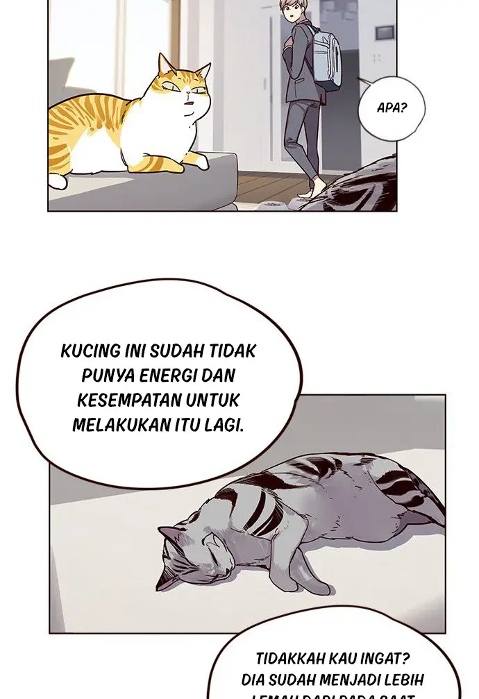 image-komik-eleceed-chapter-6-40/84