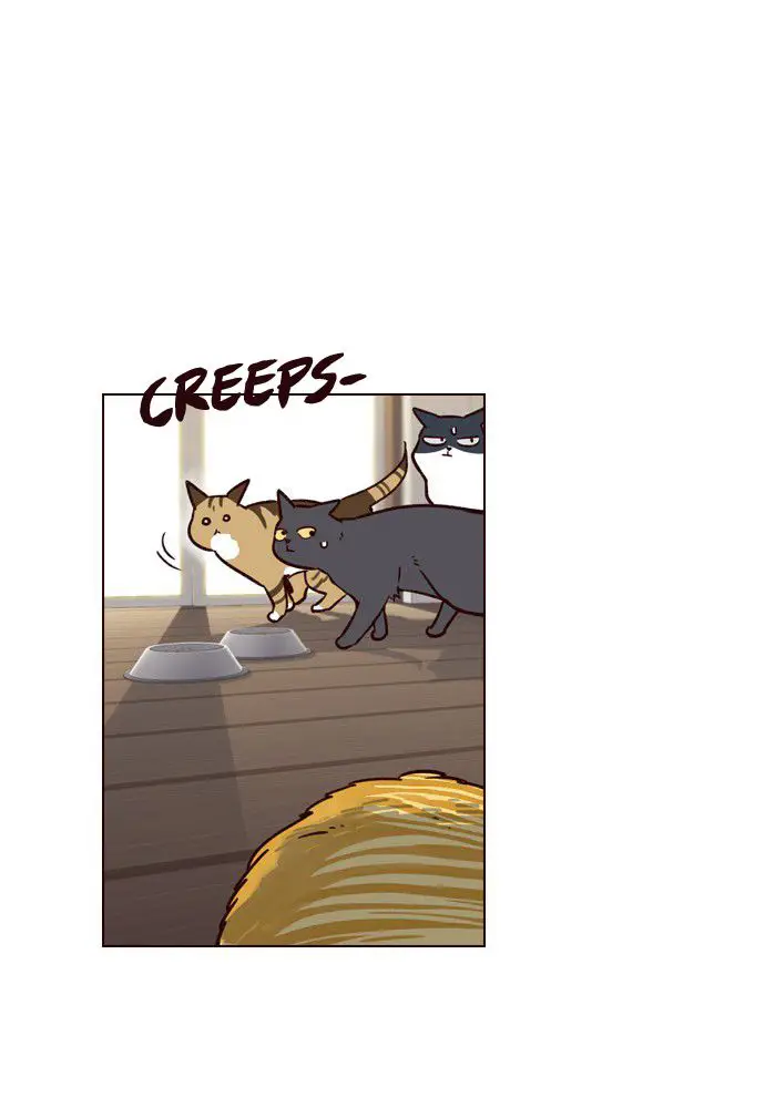 image-komik-eleceed-chapter-6-66/84