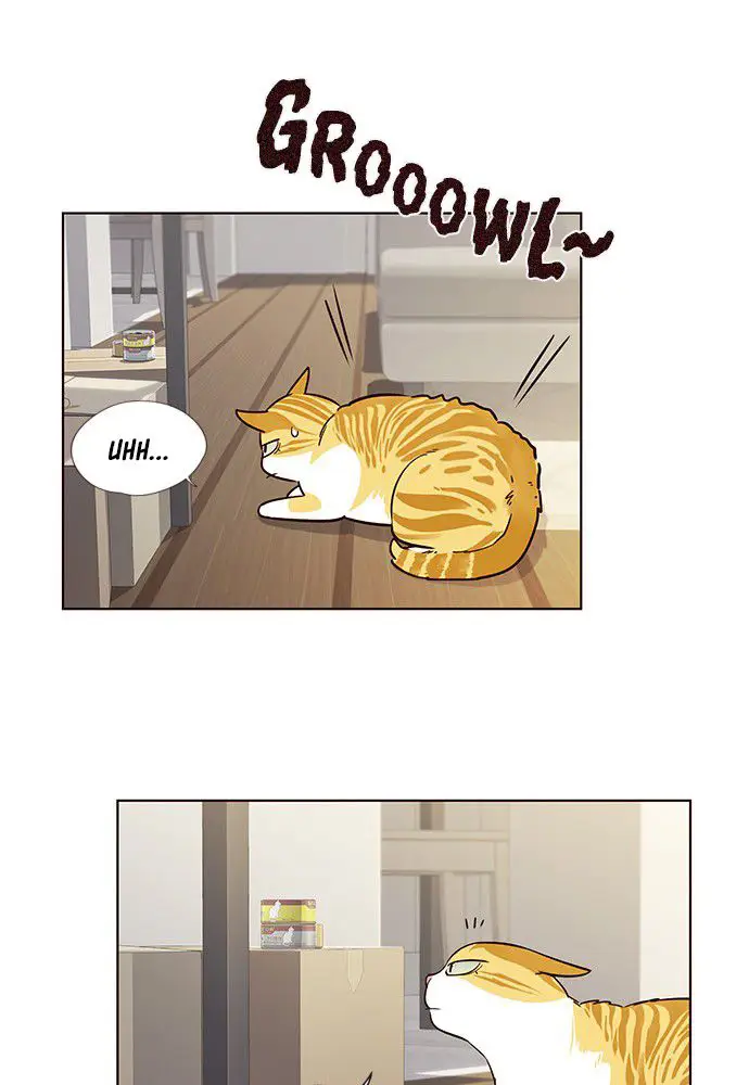 image-komik-eleceed-chapter-6-70/84