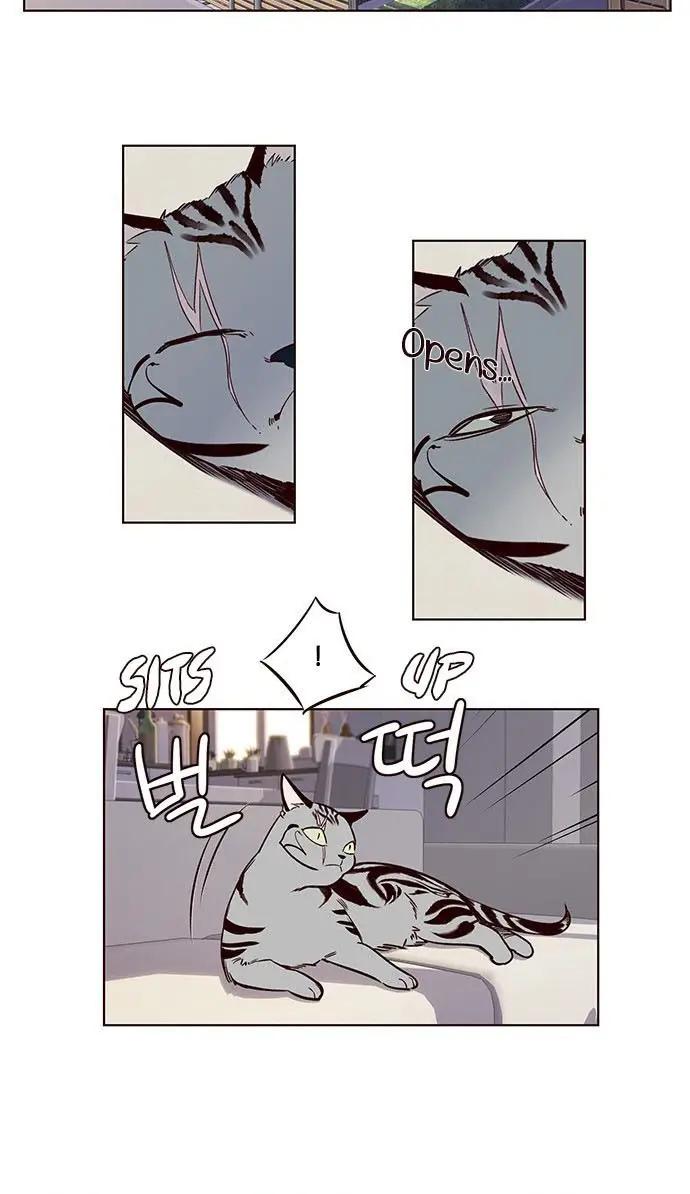 image-komik-eleceed-chapter-7-50/97