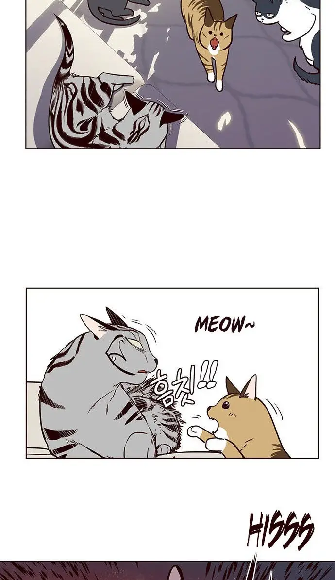 image-komik-eleceed-chapter-7-52/97