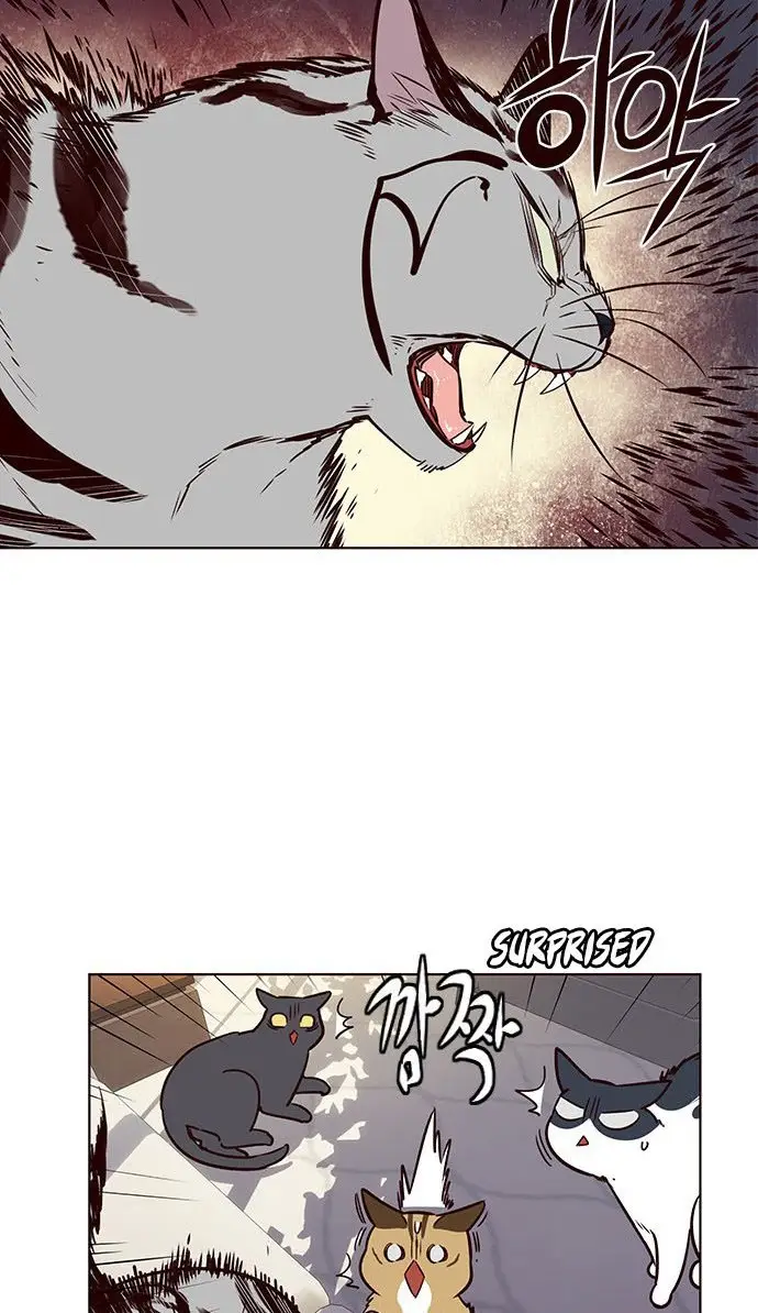 image-komik-eleceed-chapter-7-53/97