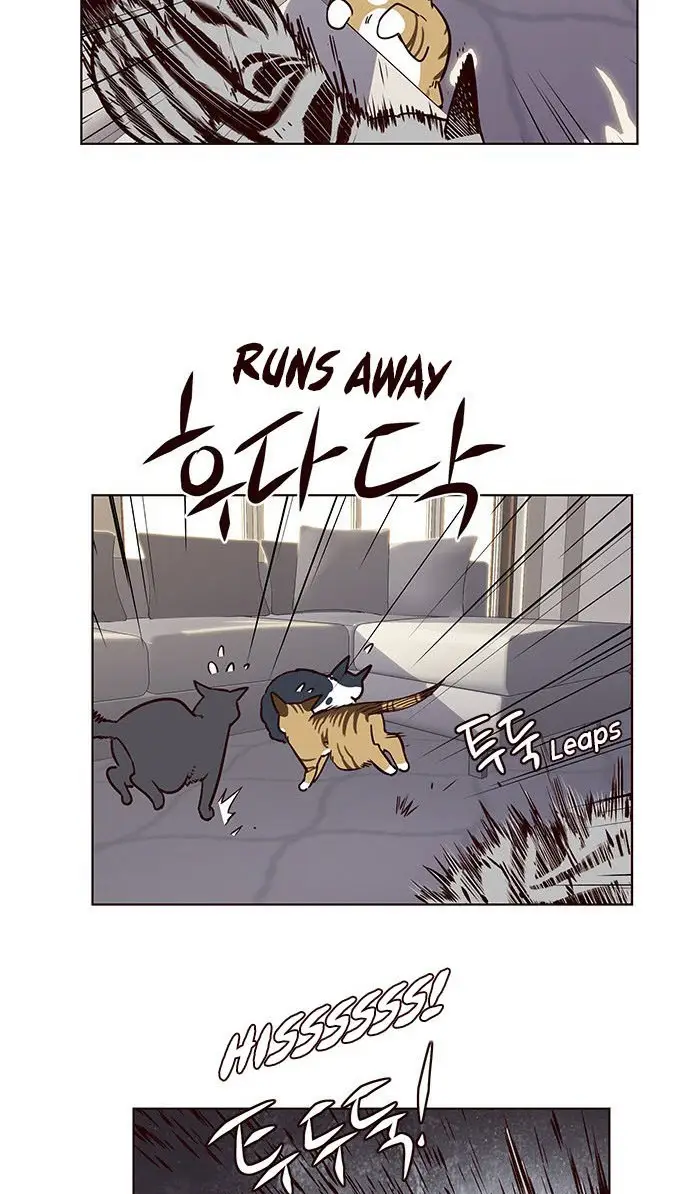 image-komik-eleceed-chapter-7-54/97