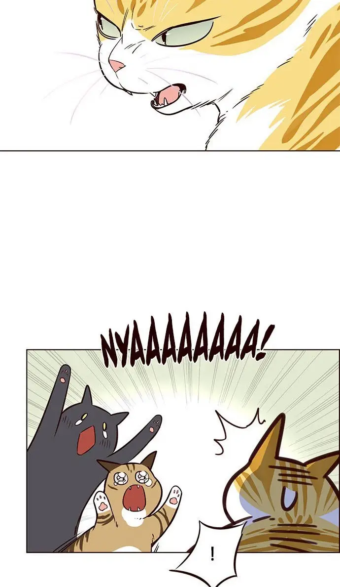 image-komik-eleceed-chapter-7-63/97