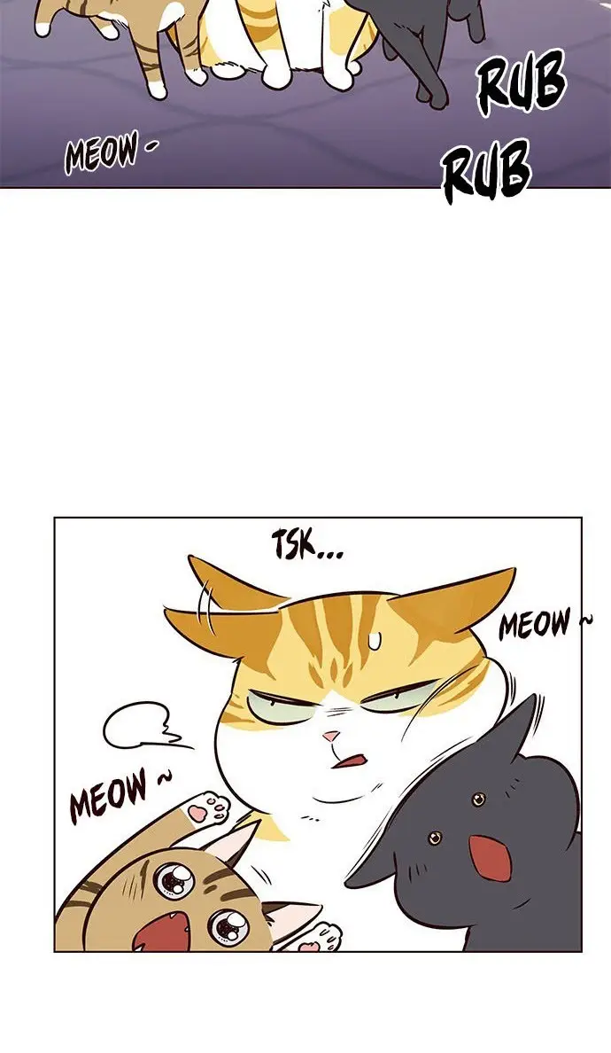 image-komik-eleceed-chapter-7-65/97