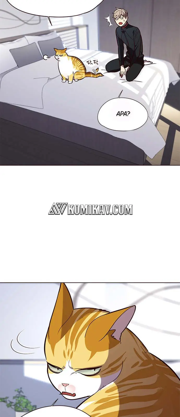 image-komik-eleceed-chapter-90-3/56