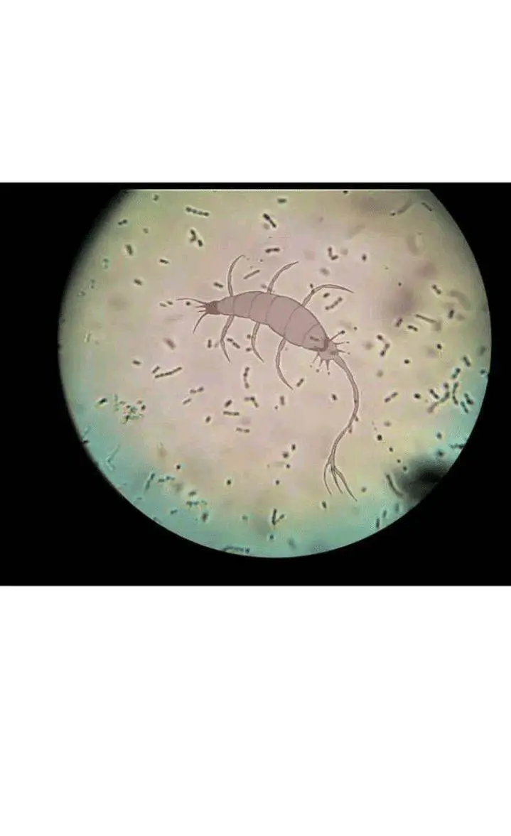 image-komik-evolution-begins-with-a-big-tree-chapter-143-51/58