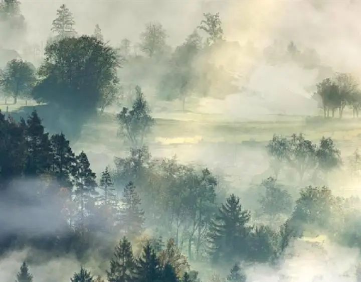 image-komik-evolution-begins-with-a-big-tree-chapter-19-1/157