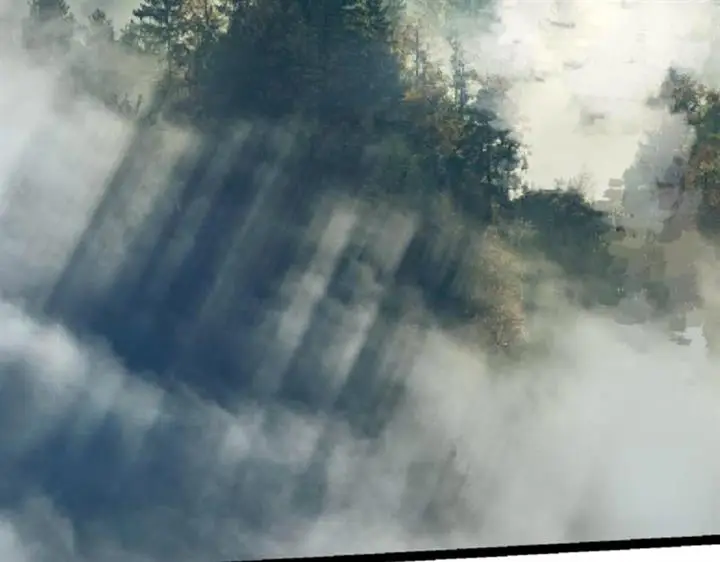 image-komik-evolution-begins-with-a-big-tree-chapter-19-2/157