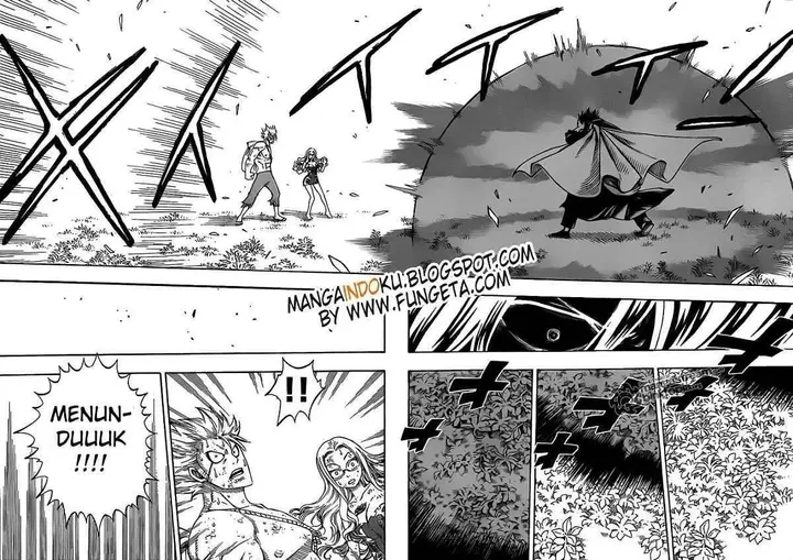 image-komik-fairy-tail-chapter-208-15/19