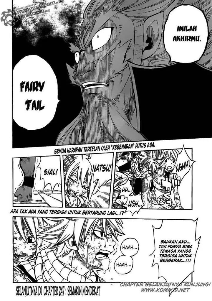 image-komik-fairy-tail-chapter-246-19/23