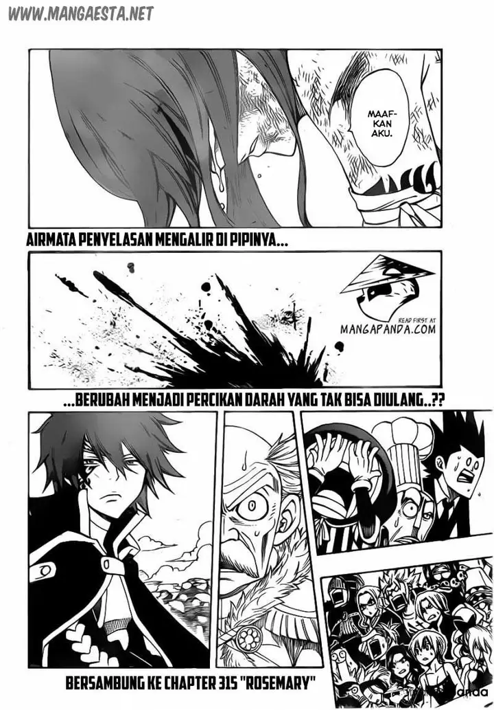 image-komik-fairy-tail-chapter-314-20/21