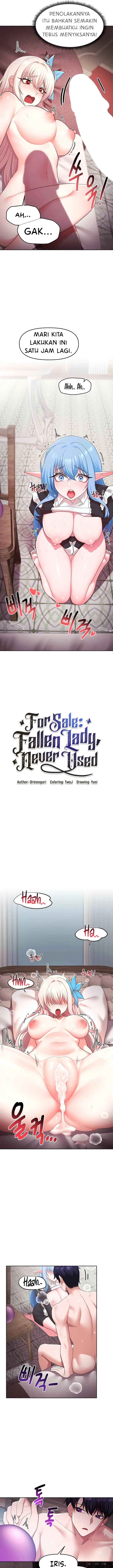 image-komik-for-sale-fallen-lady-never-used-chapter-47-3/17