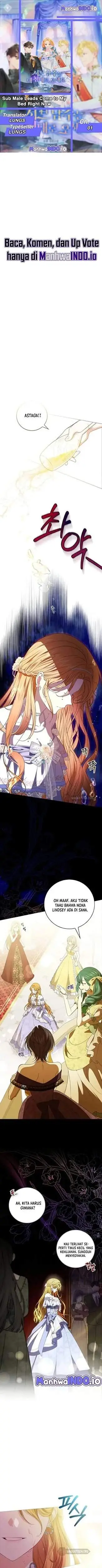 image-komik-get-in-my-bed-supporting-male-leads-chapter-1-0/15