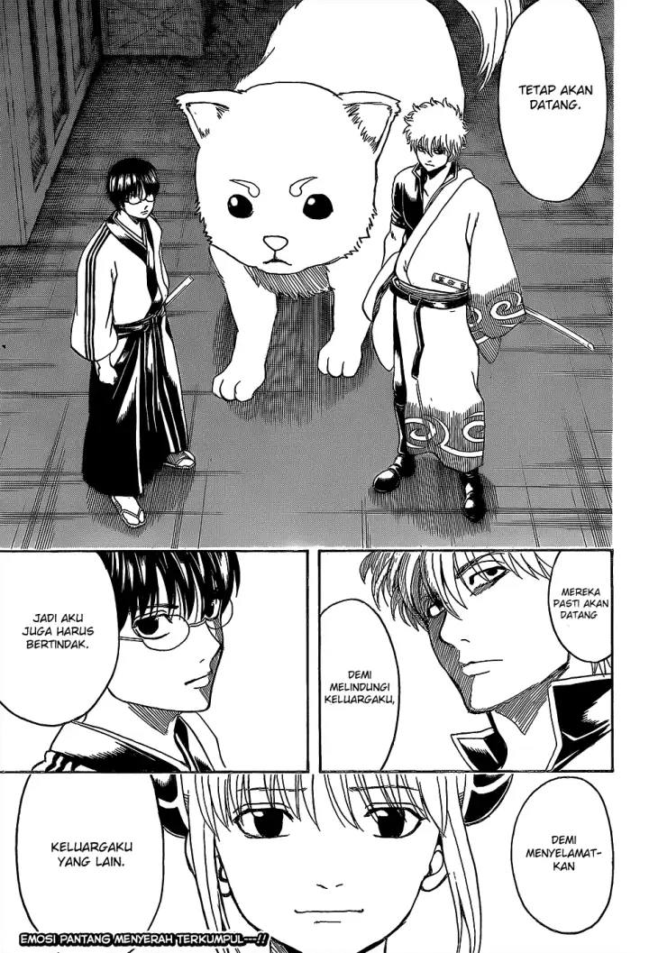 image-komik-gintama-chapter-556-14/16