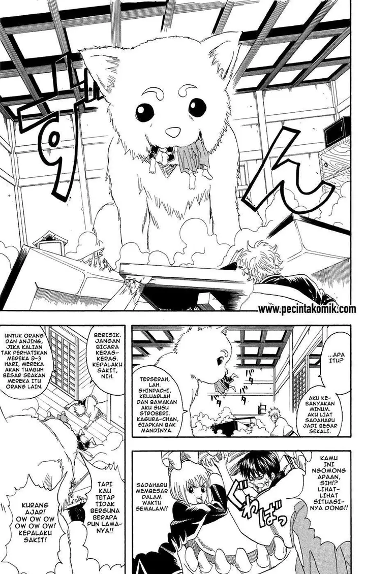 image-komik-gintama-chapter-71-5/20