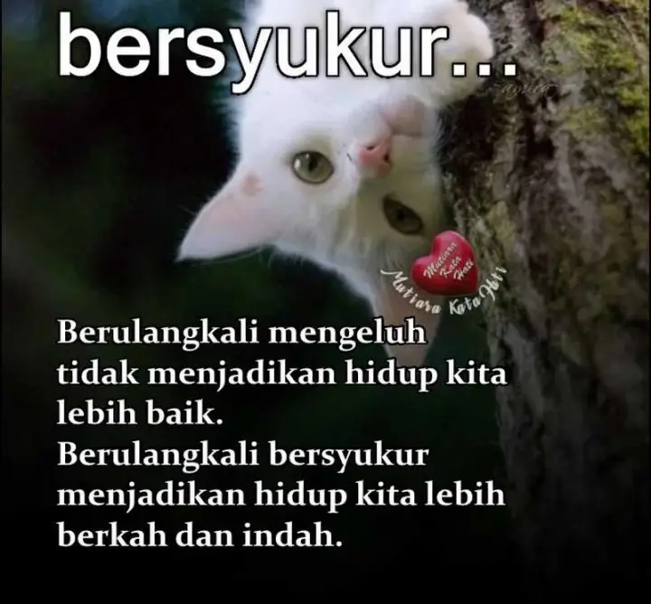 image-komik-global-gao-wu-chapter-159-24/25