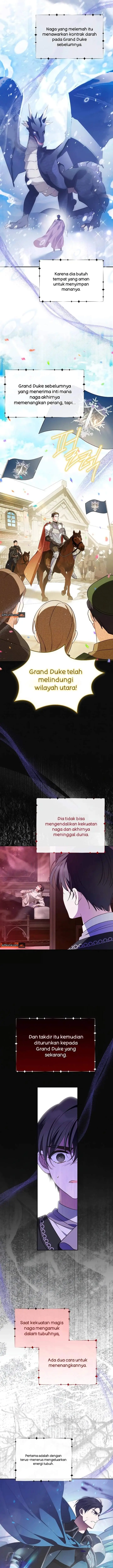 image-komik-grand-duchesss-constitution-chapter-8-16/23