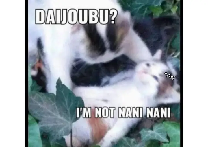 image-komik-hanninmae-no-koibito-chapter-20-26/27