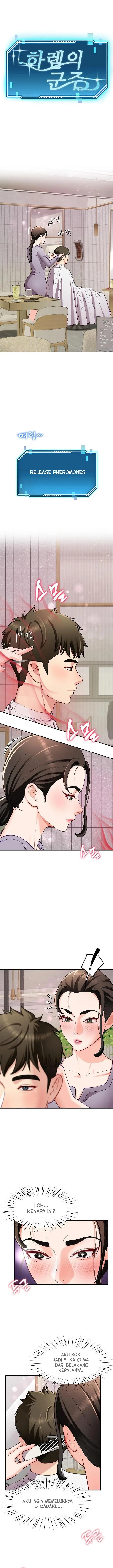 image-komik-harem-king-chapter-41-1/17