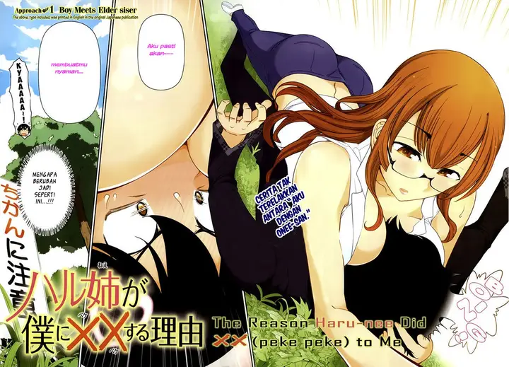 image-komik-haru-nee-ga-boku-ni-xx-suru-riyuu-chapter-01-2/40