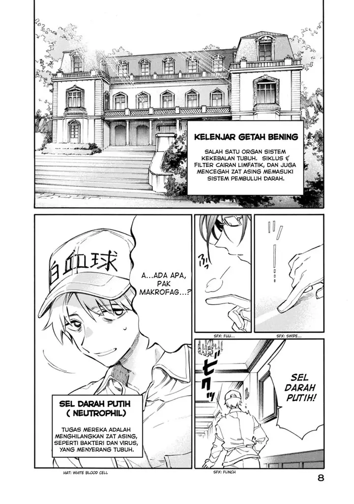 image-komik-hataraku-saibou-lady-chapter-1-8/39