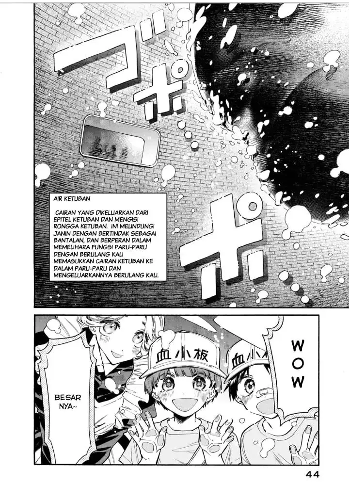 image-komik-hataraku-saibou-lady-chapter-12-4/38