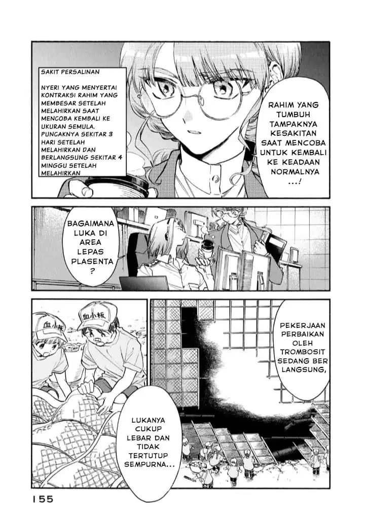 image-komik-hataraku-saibou-lady-chapter-15-5/43
