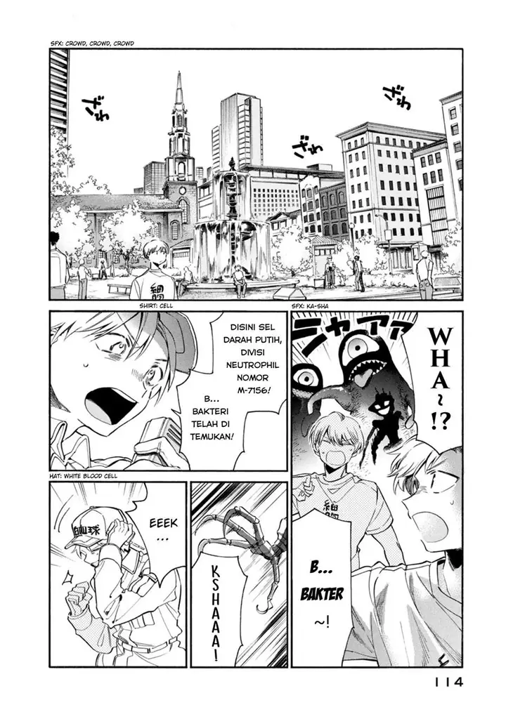 image-komik-hataraku-saibou-lady-chapter-4-1/35