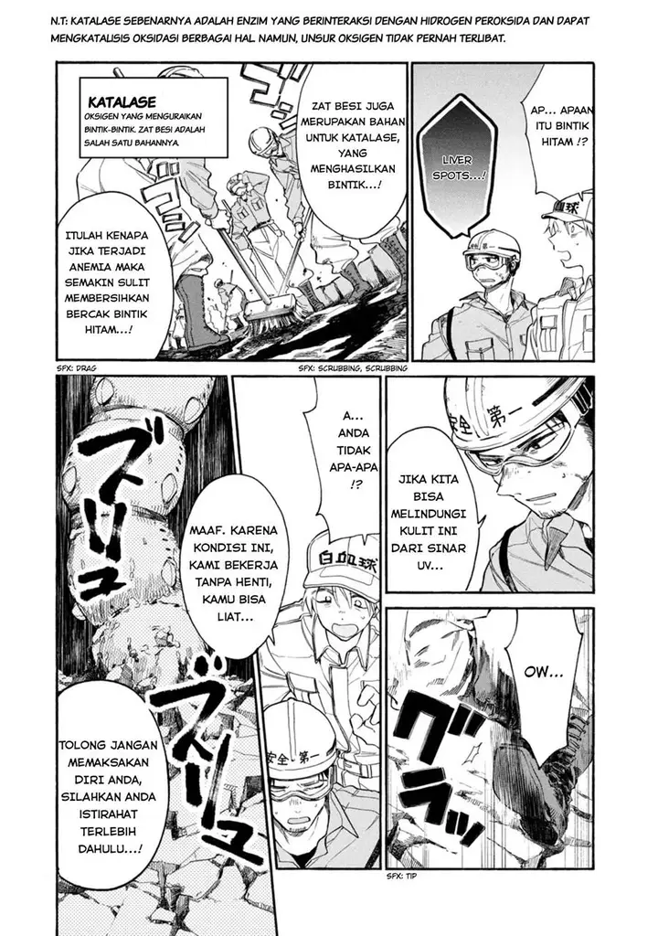 image-komik-hataraku-saibou-lady-chapter-4-20/35