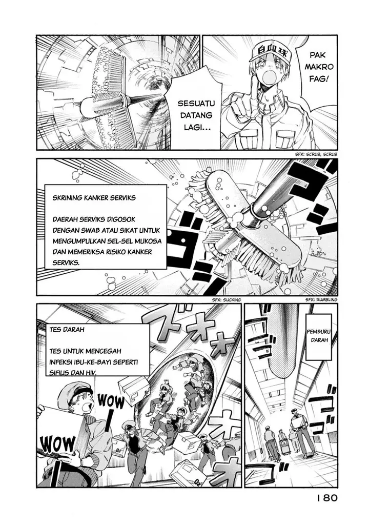 image-komik-hataraku-saibou-lady-chapter-5-31/41