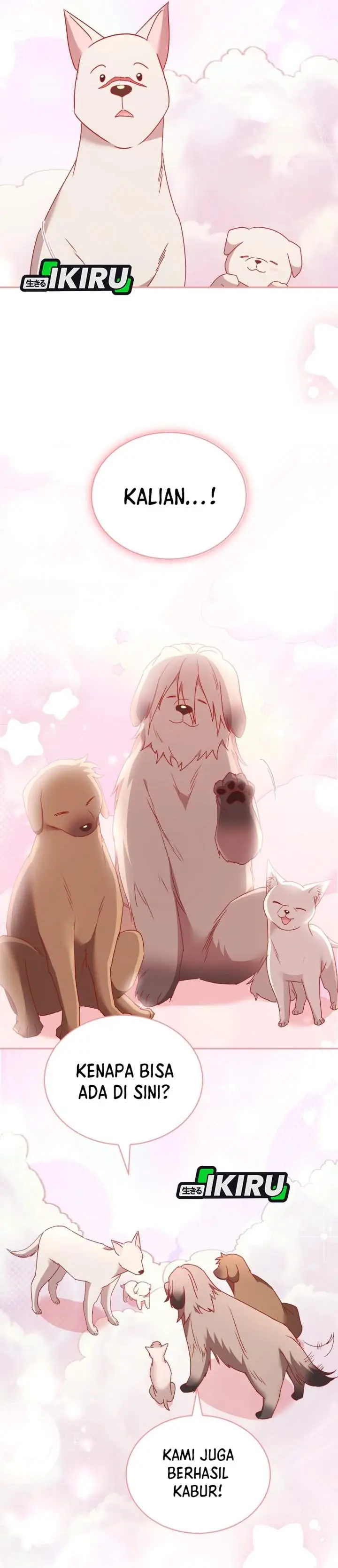 image-komik-hello-veterinarian-chapter-115-31/37