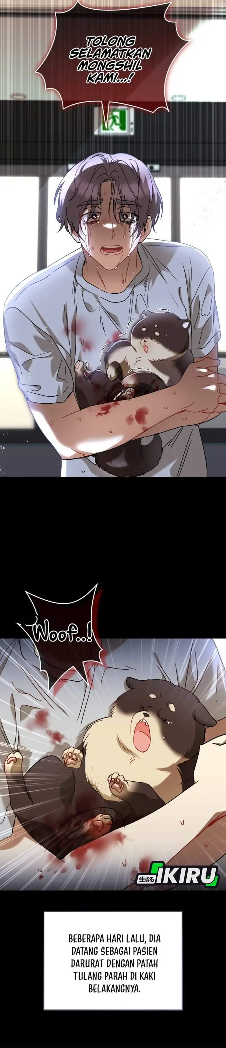 image-komik-hello-veterinarian-chapter-128-2/36