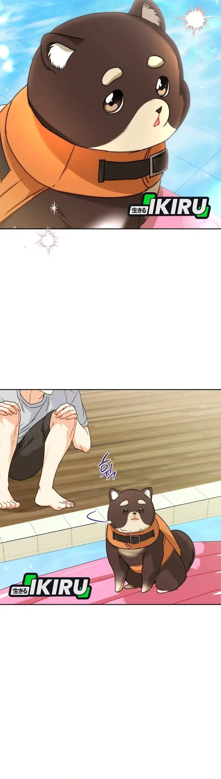 image-komik-hello-veterinarian-chapter-130-20/36