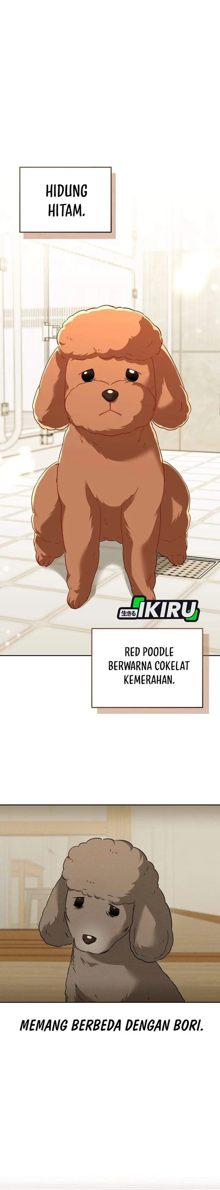 image-komik-hello-veterinarian-chapter-139-10/35