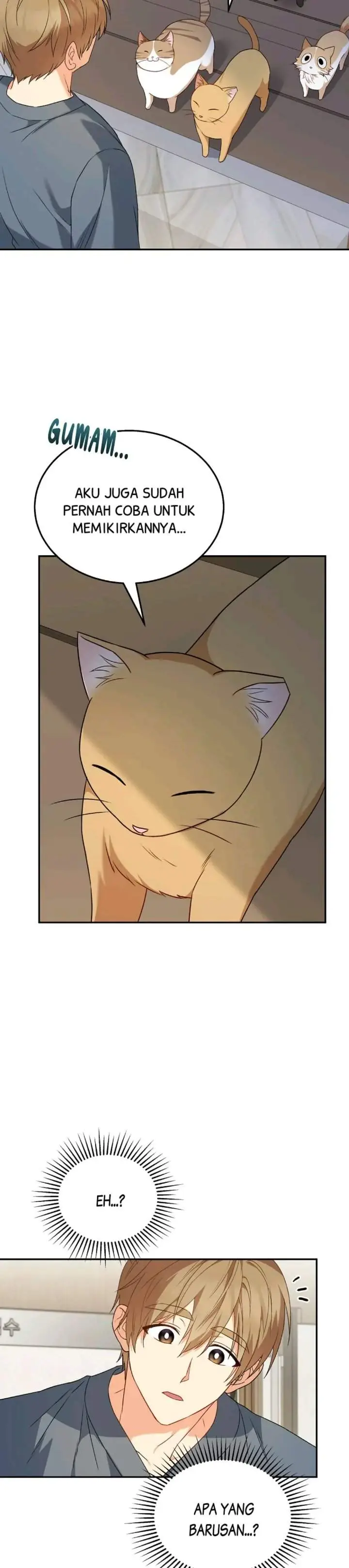 image-komik-hello-veterinarian-chapter-14-22/31