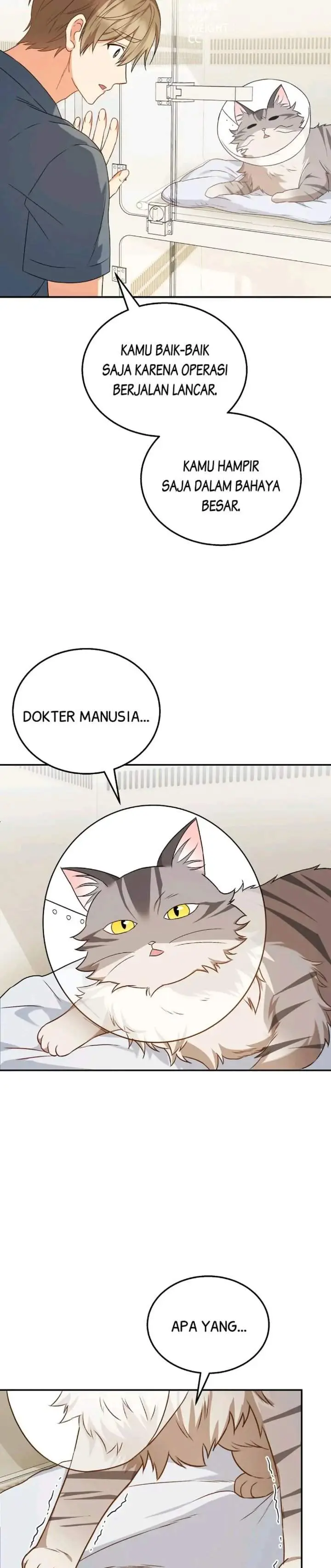 image-komik-hello-veterinarian-chapter-14-27/31