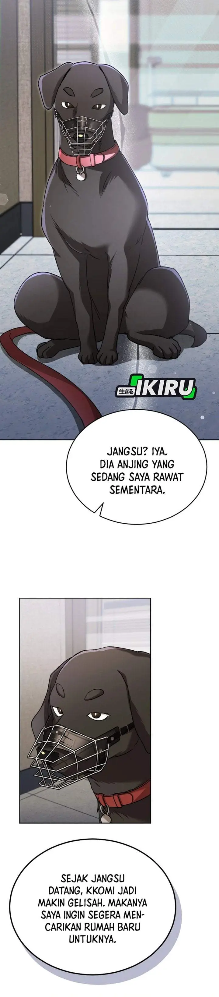 image-komik-hello-veterinarian-chapter-144-17/47