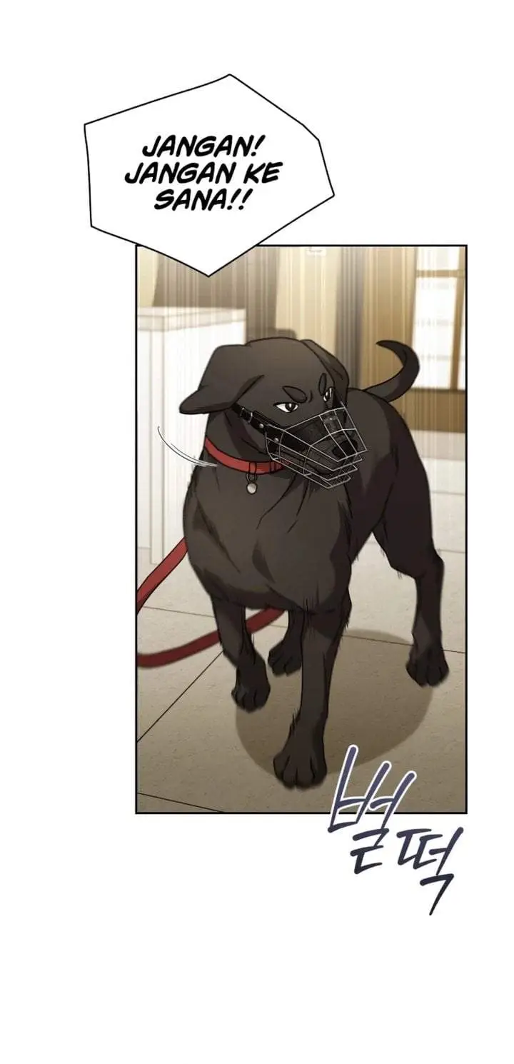 image-komik-hello-veterinarian-chapter-144-26/47