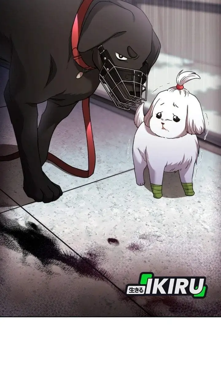 image-komik-hello-veterinarian-chapter-144-46/47