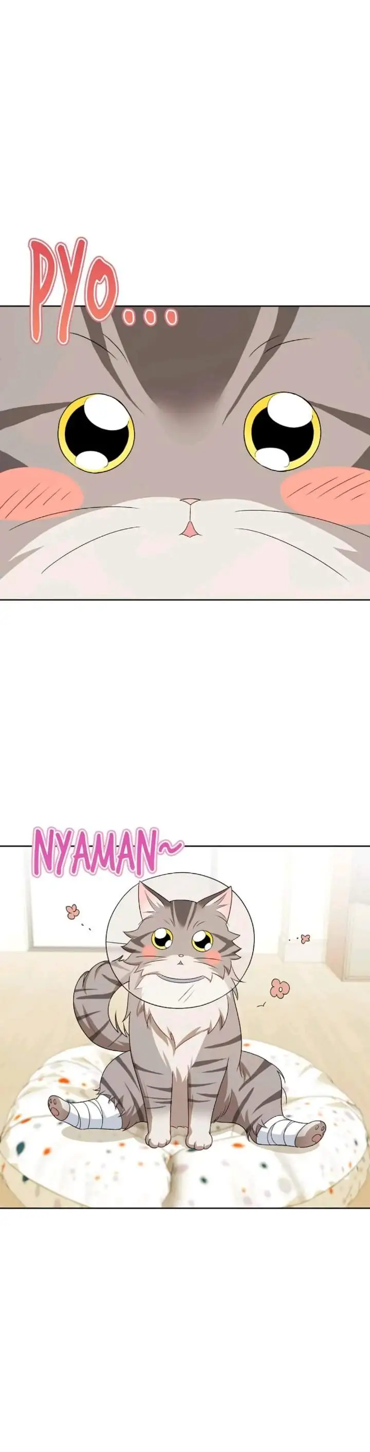 image-komik-hello-veterinarian-chapter-15-17/39