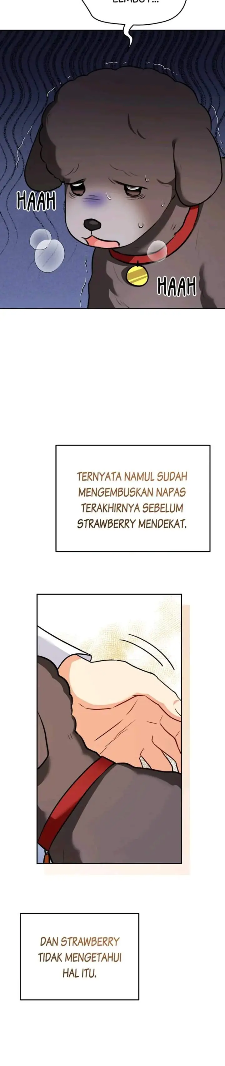 image-komik-hello-veterinarian-chapter-34-14/33