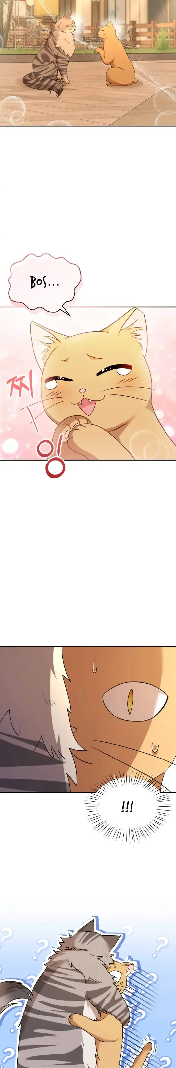 image-komik-hello-veterinarian-chapter-38-5/27