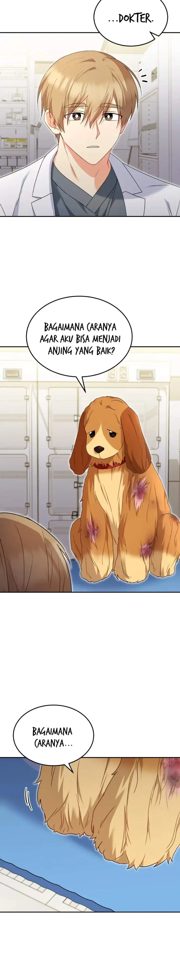 image-komik-hello-veterinarian-chapter-43-7/28