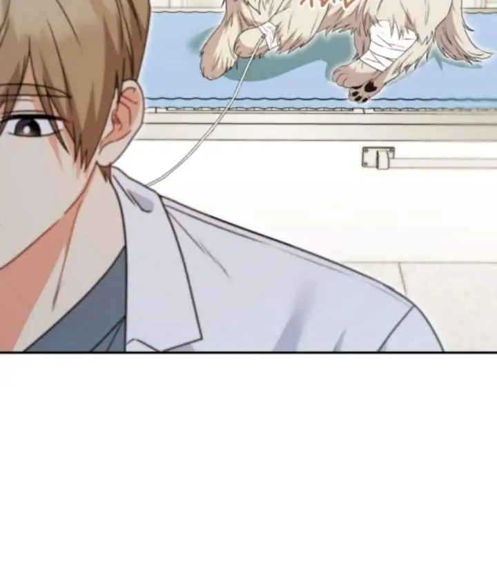 image-komik-hello-veterinarian-chapter-49-2/15