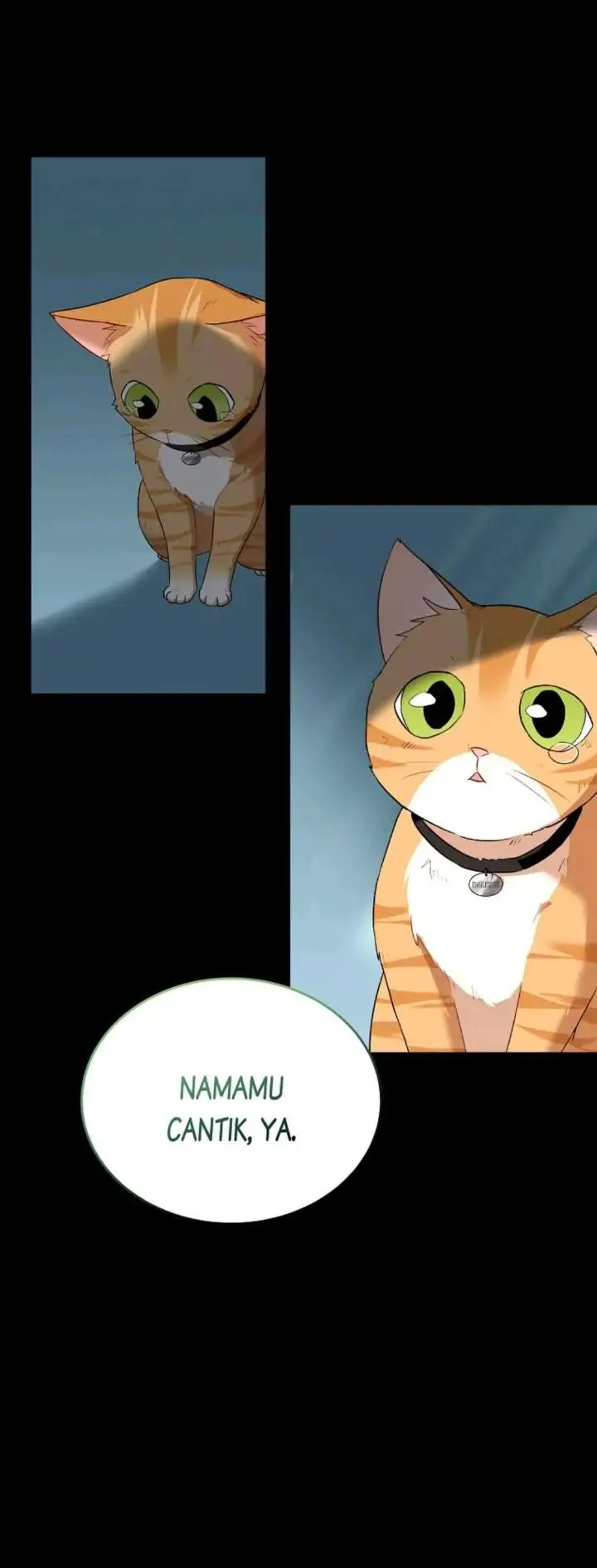 image-komik-hello-veterinarian-chapter-7-21/40