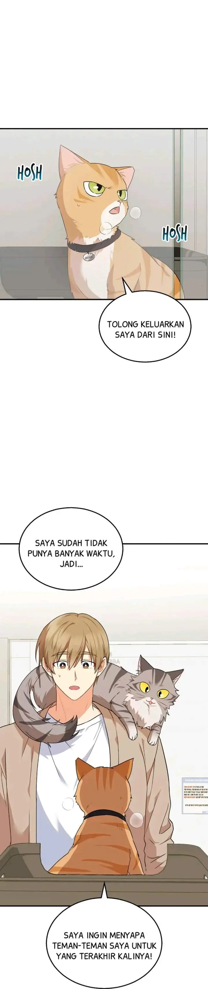 image-komik-hello-veterinarian-chapter-8-0/42